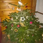 Chalet Anezka