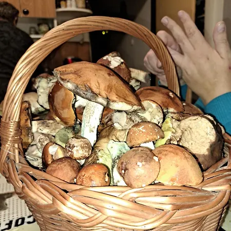 Anezka * Králíky